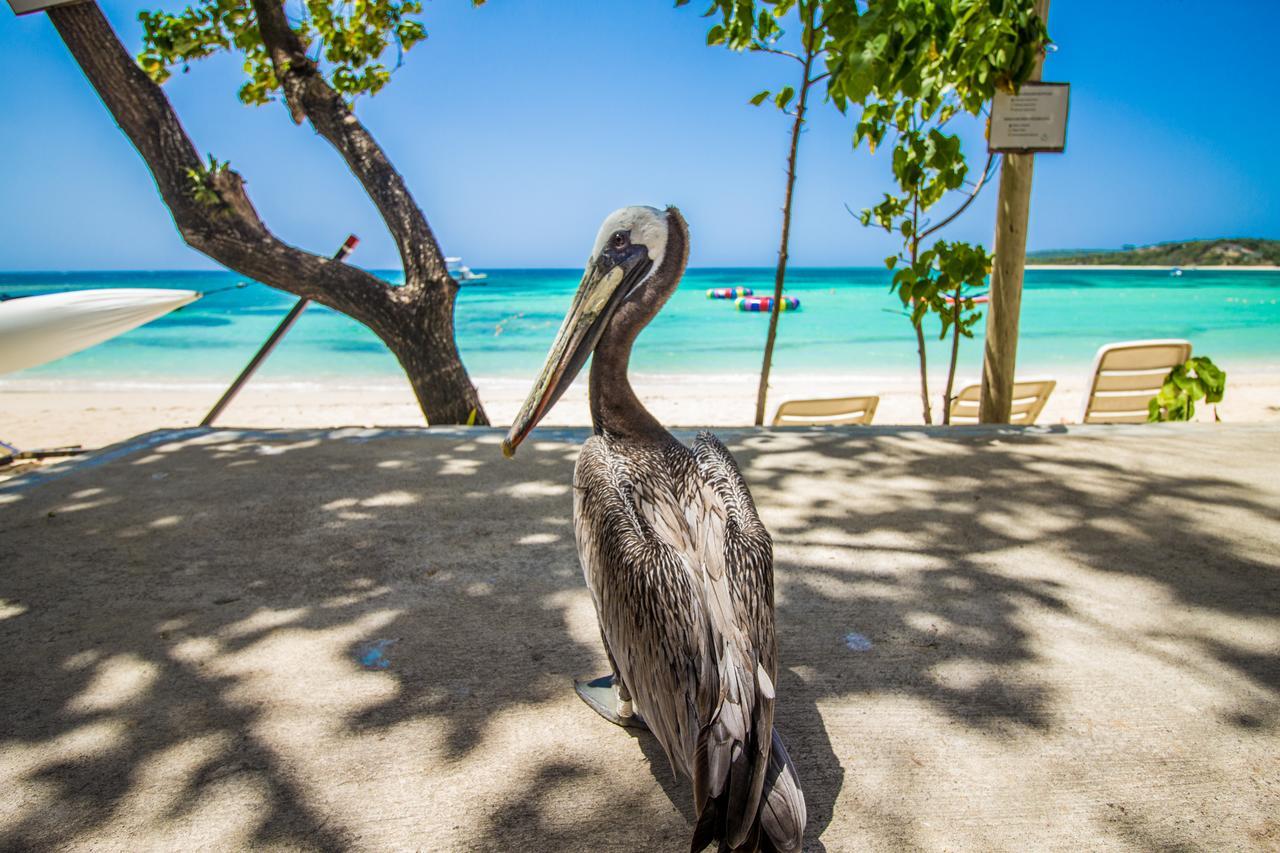 Paradise Island Beach Resort Punta Rucia Ngoại thất bức ảnh
